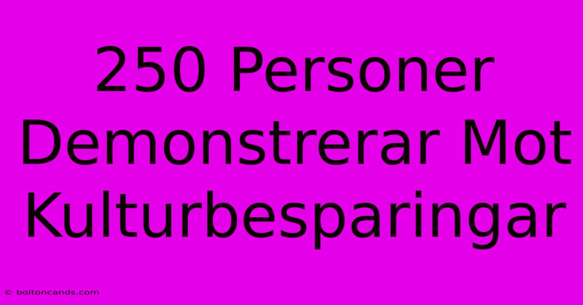 250 Personer Demonstrerar Mot Kulturbesparingar