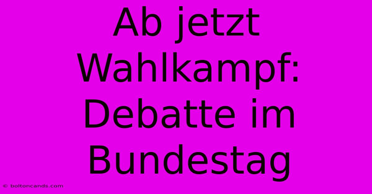 Ab Jetzt Wahlkampf: Debatte Im Bundestag