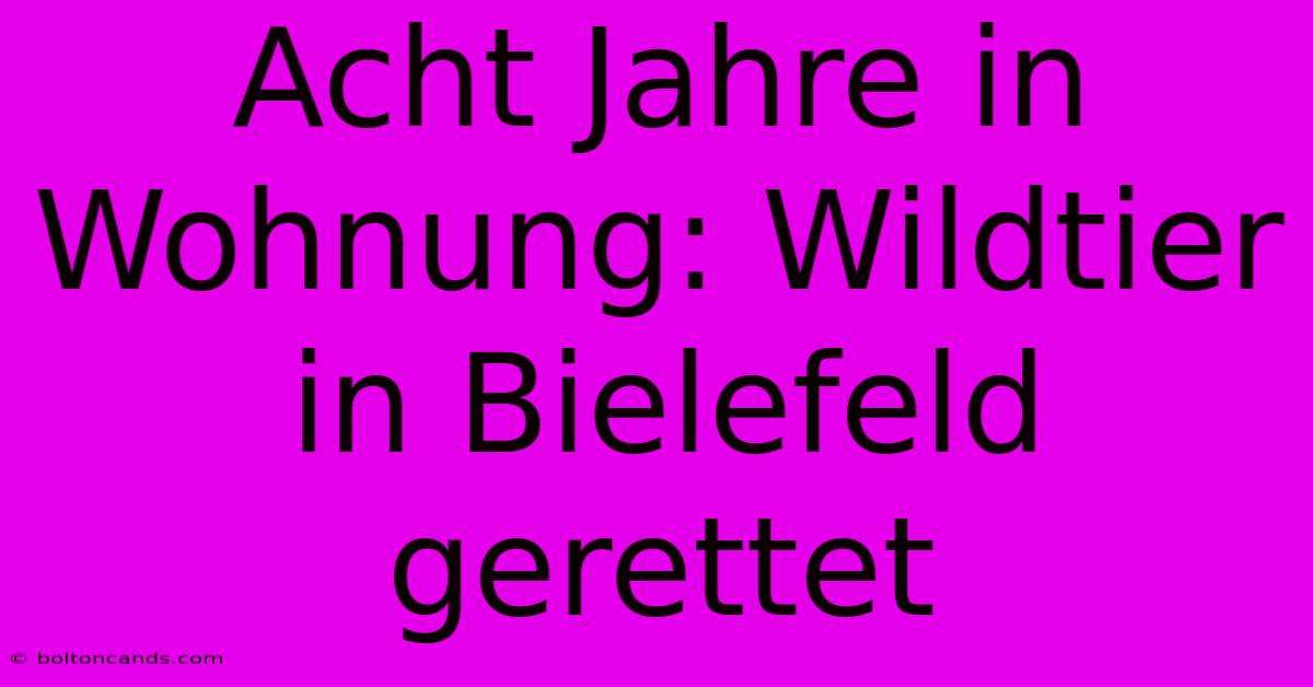 Acht Jahre In Wohnung: Wildtier In Bielefeld Gerettet