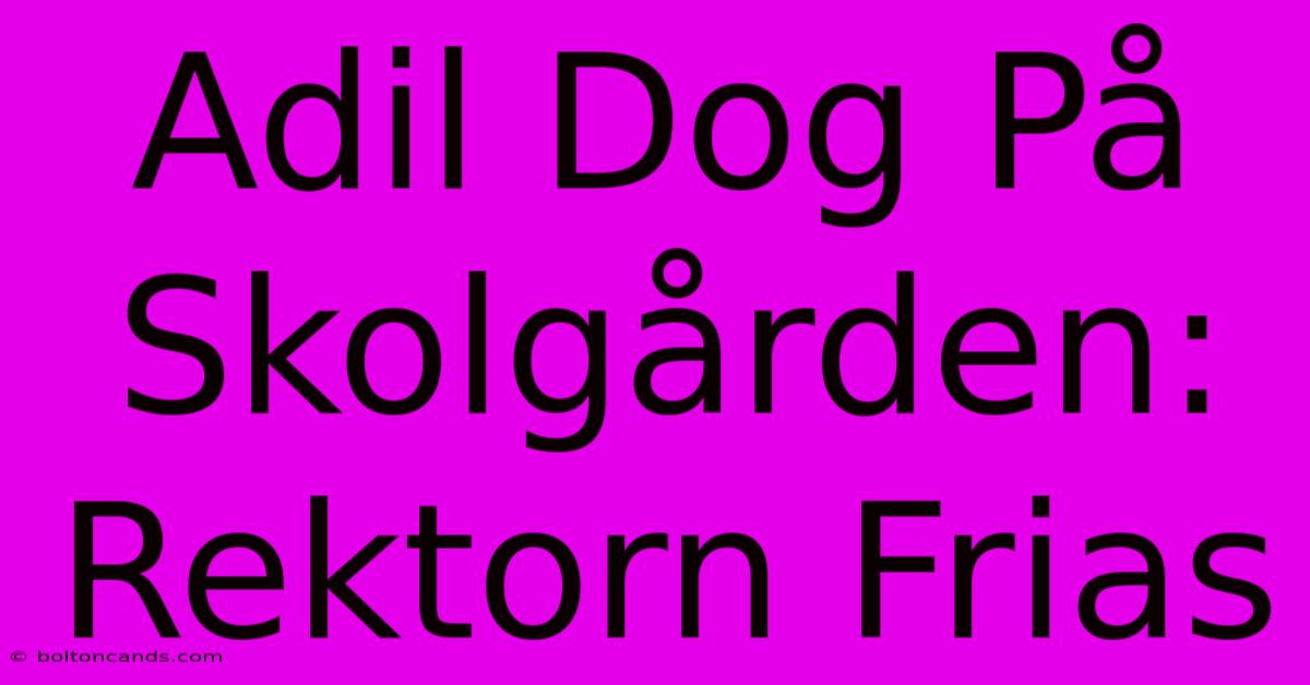 Adil Dog På Skolgården: Rektorn Frias