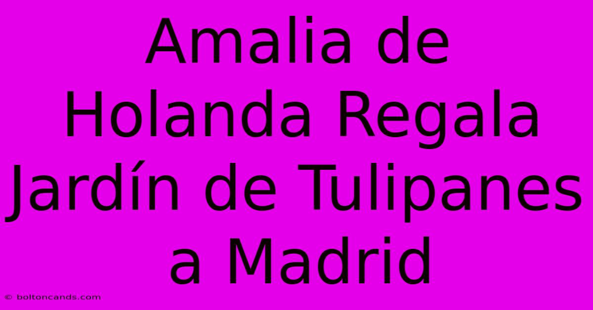 Amalia De Holanda Regala Jardín De Tulipanes A Madrid