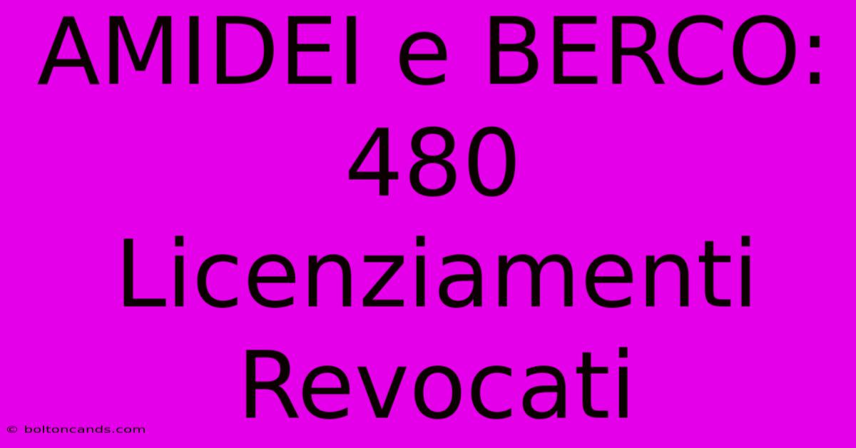 AMIDEI E BERCO: 480 Licenziamenti Revocati