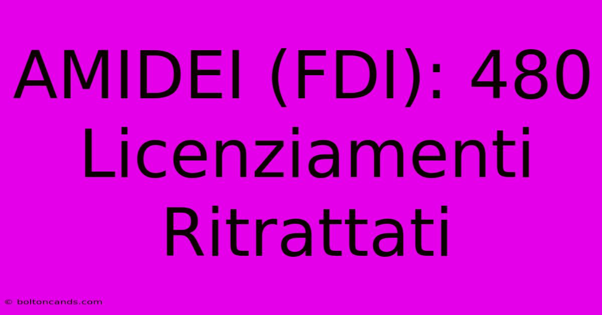 AMIDEI (FDI): 480 Licenziamenti Ritrattati