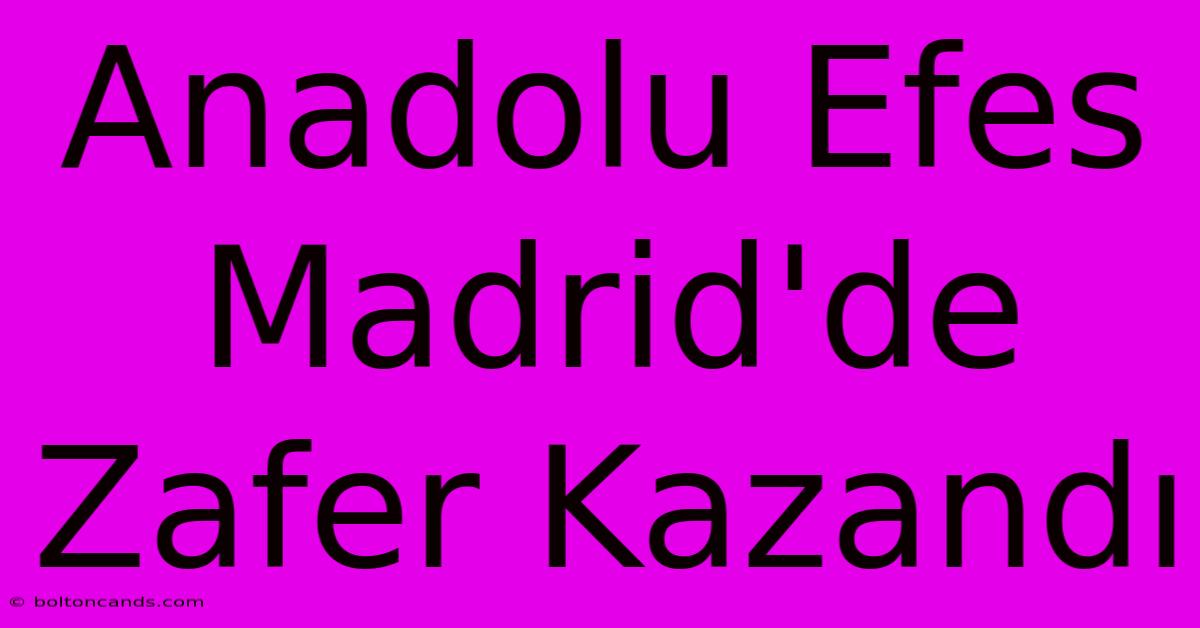 Anadolu Efes Madrid'de Zafer Kazandı