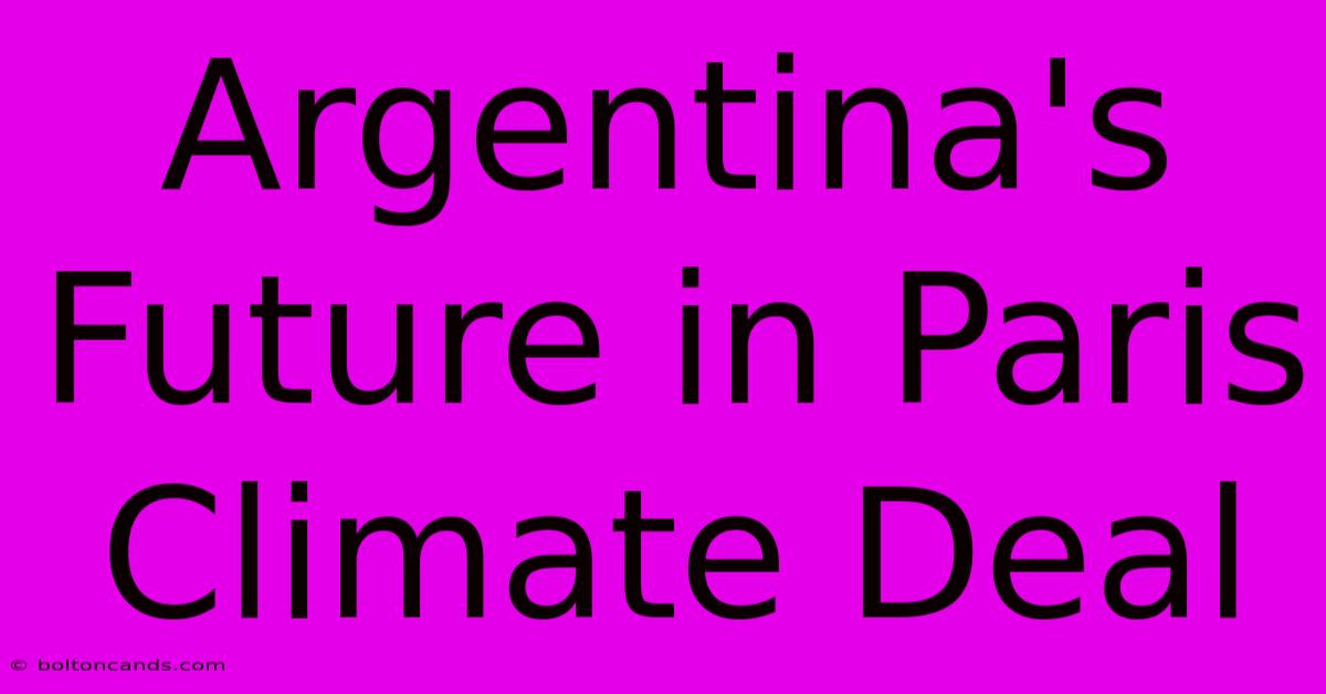 Argentina's Future In Paris Climate Deal