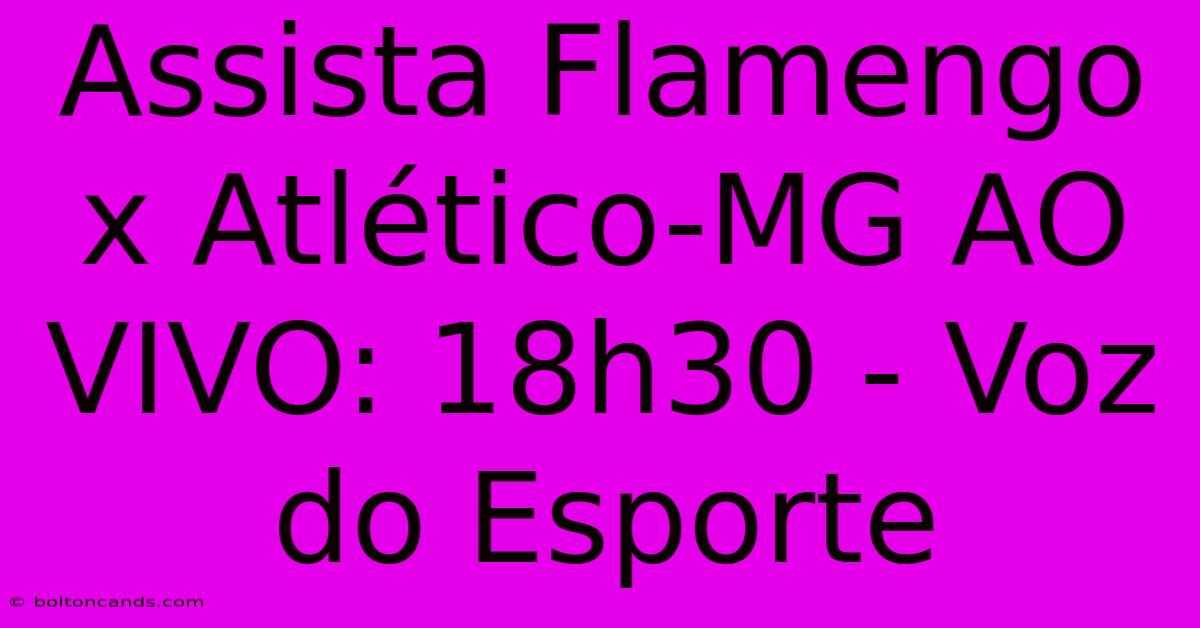 Assista Flamengo X Atlético-MG AO VIVO: 18h30 - Voz Do Esporte