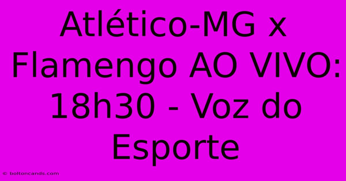 Atlético-MG X Flamengo AO VIVO: 18h30 - Voz Do Esporte