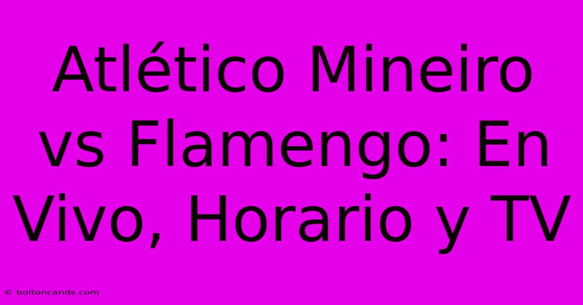 Atlético Mineiro Vs Flamengo: En Vivo, Horario Y TV