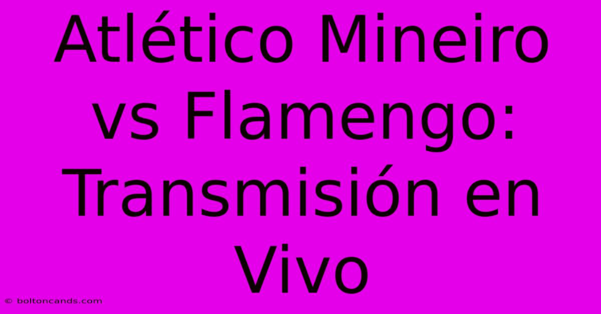 Atlético Mineiro Vs Flamengo: Transmisión En Vivo 