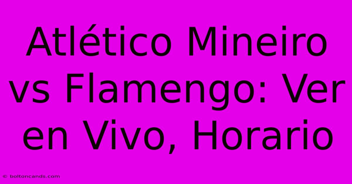 Atlético Mineiro Vs Flamengo: Ver En Vivo, Horario