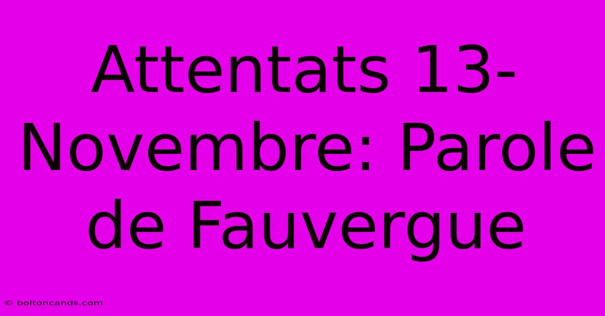 Attentats 13-Novembre: Parole De Fauvergue