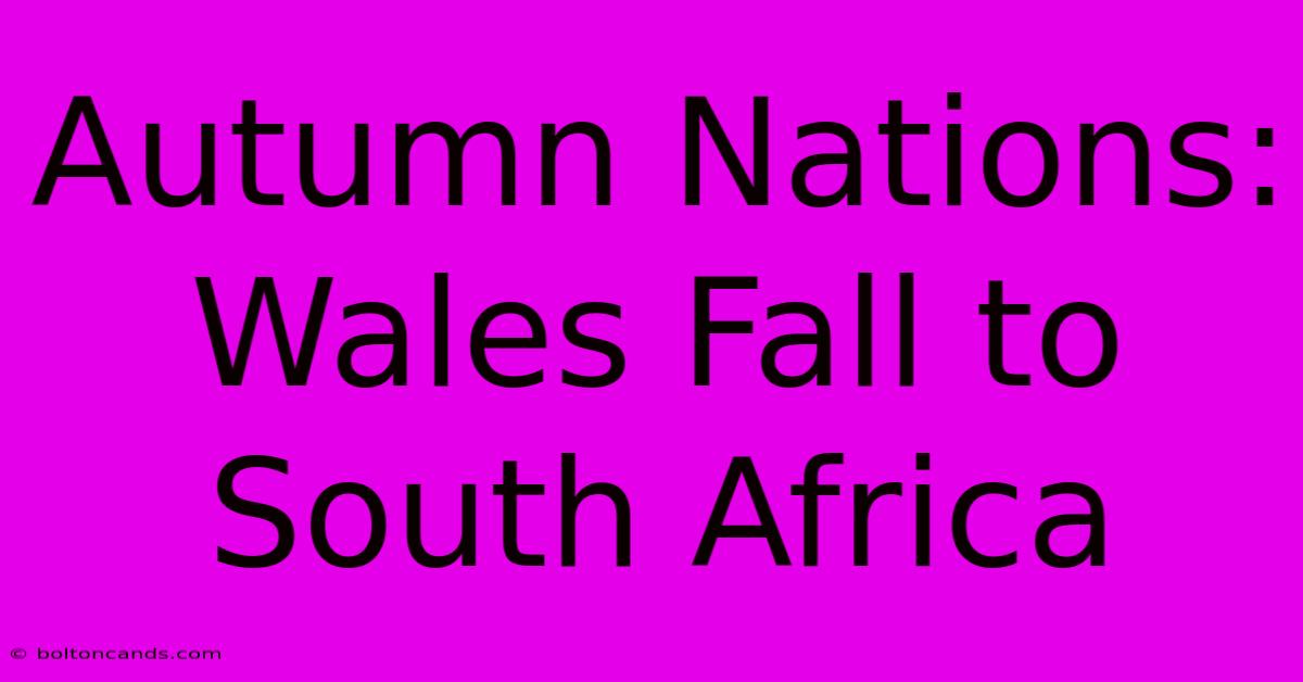 Autumn Nations: Wales Fall To South Africa