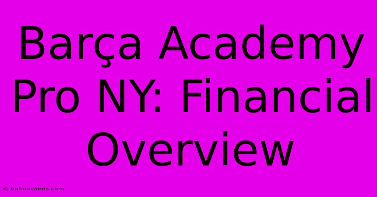 Barça Academy Pro NY: Financial Overview