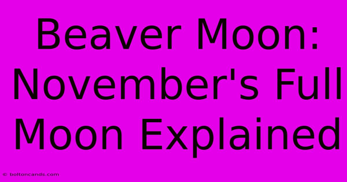 Beaver Moon:  November's Full Moon Explained 