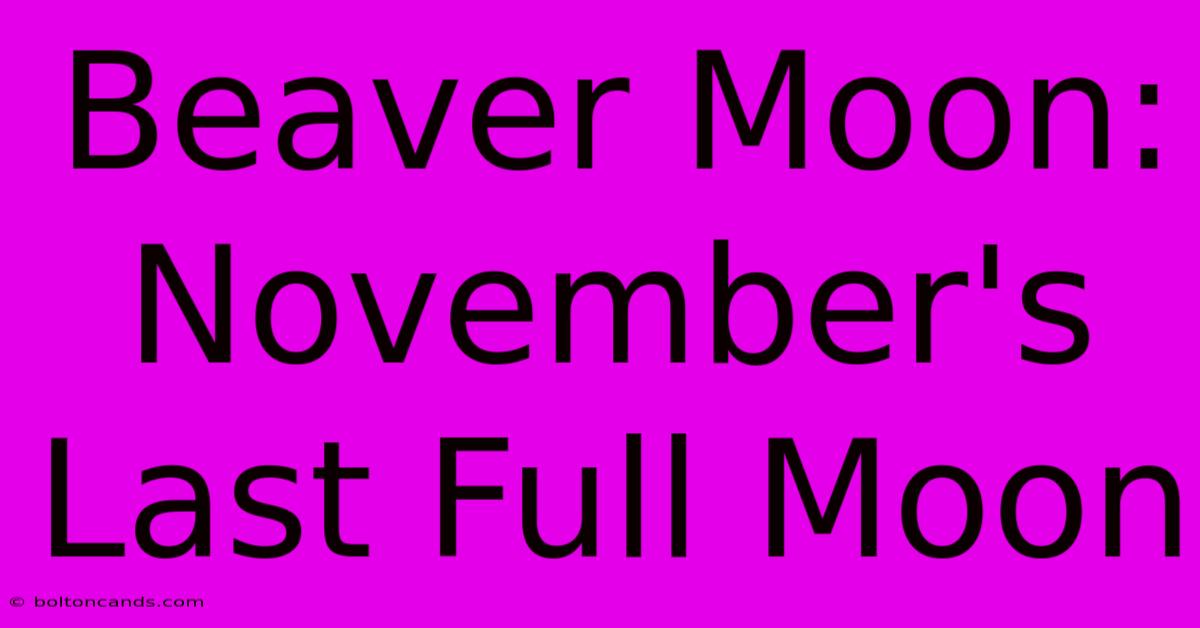 Beaver Moon: November's Last Full Moon