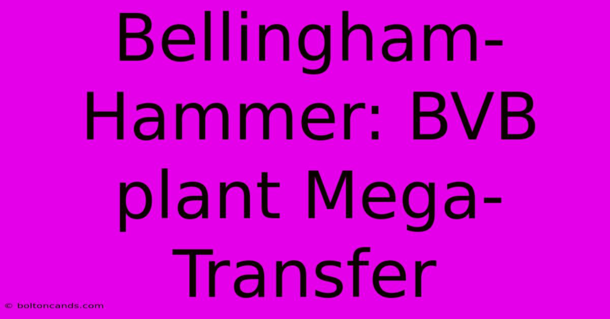 Bellingham-Hammer: BVB Plant Mega-Transfer