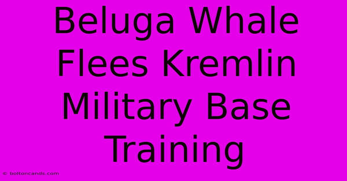 Beluga Whale Flees Kremlin Military Base Training