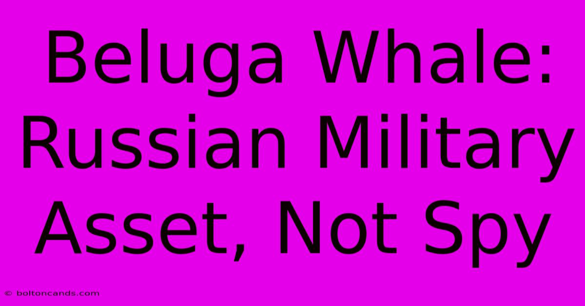 Beluga Whale: Russian Military Asset, Not Spy