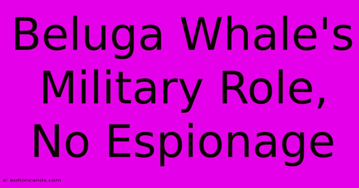 Beluga Whale's Military Role, No Espionage