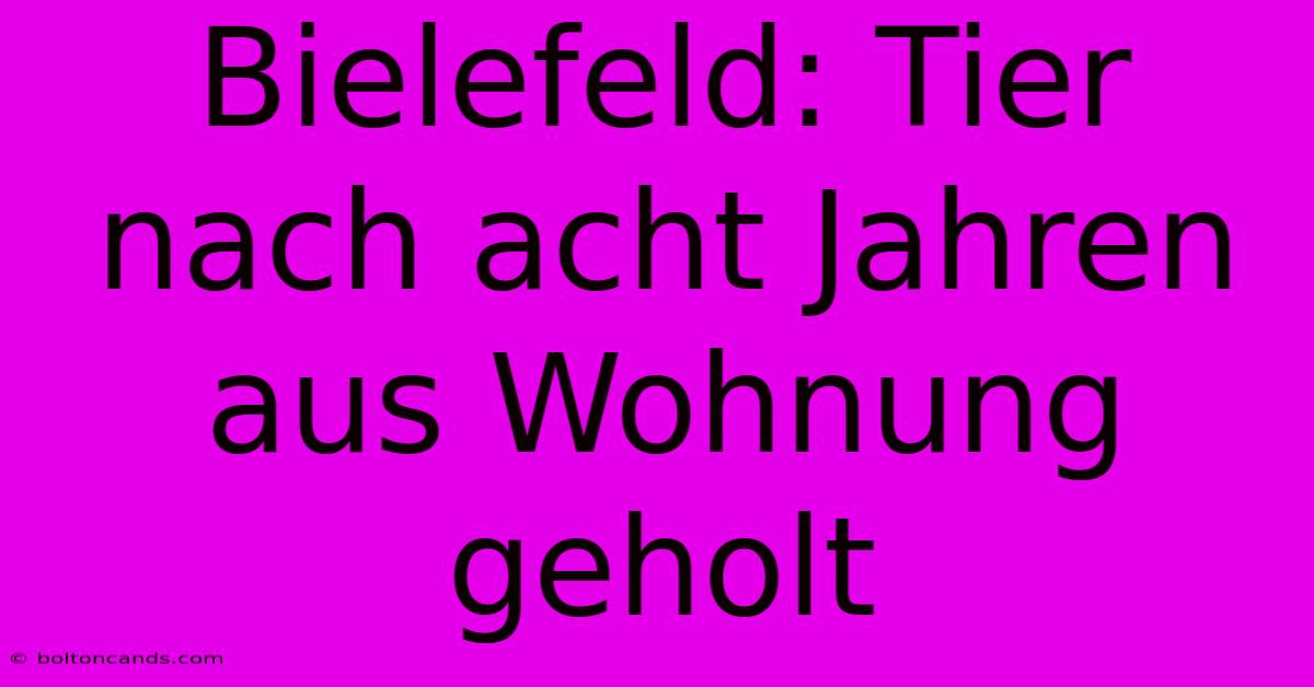 Bielefeld: Tier Nach Acht Jahren Aus Wohnung Geholt