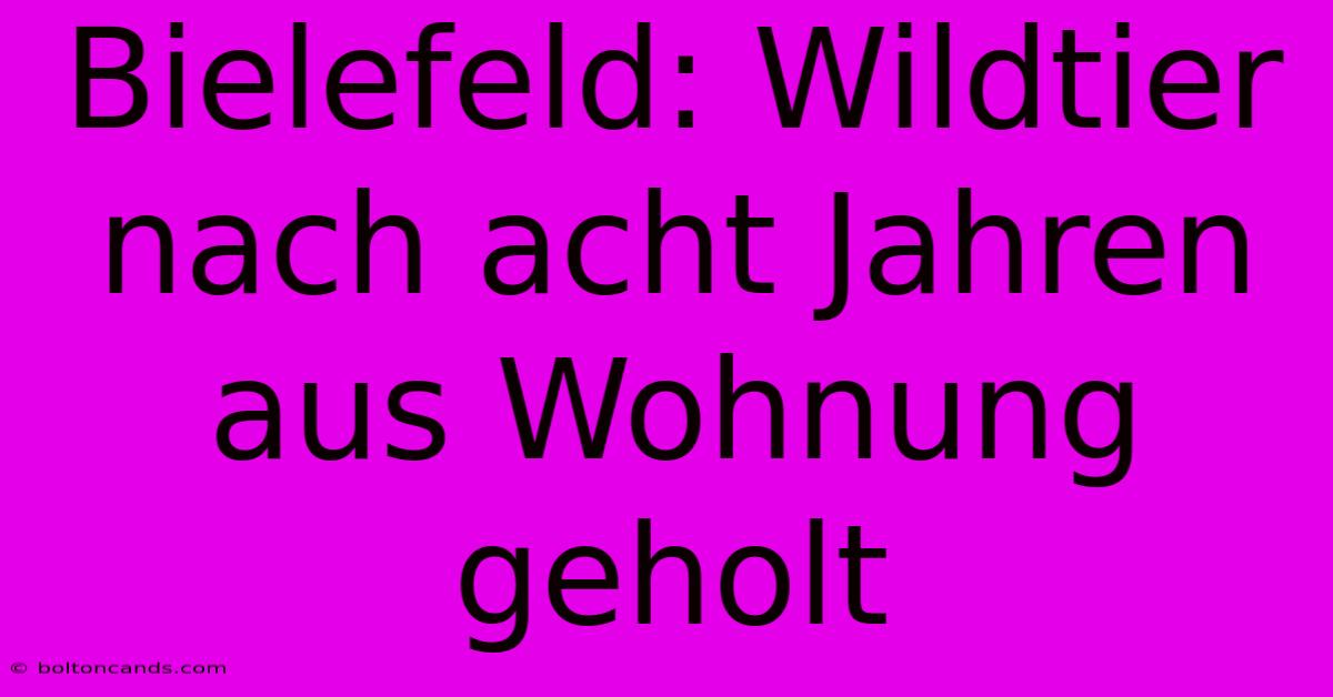 Bielefeld: Wildtier Nach Acht Jahren Aus Wohnung Geholt 