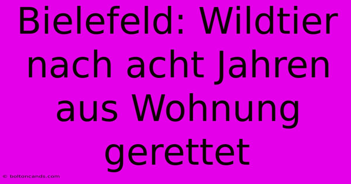 Bielefeld: Wildtier Nach Acht Jahren Aus Wohnung Gerettet