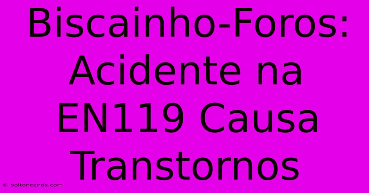 Biscainho-Foros: Acidente Na EN119 Causa Transtornos