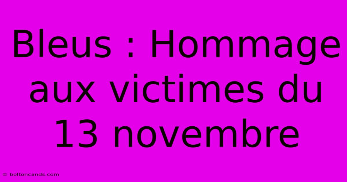 Bleus : Hommage Aux Victimes Du 13 Novembre