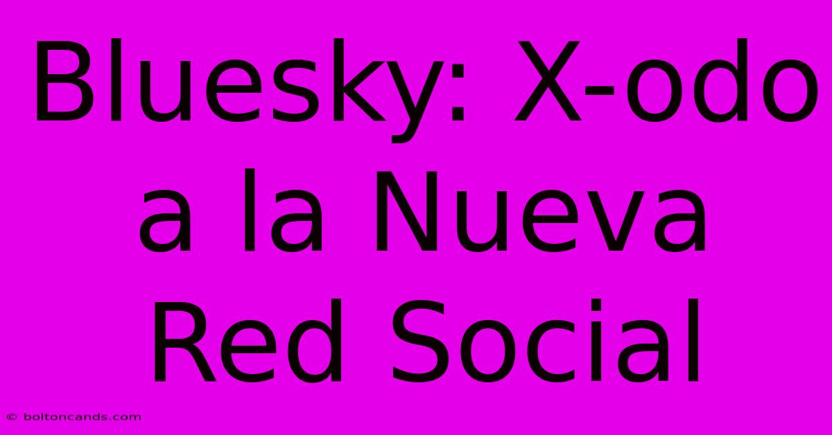 Bluesky: X-odo A La Nueva Red Social 