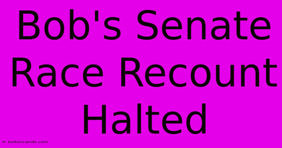 Bob's Senate Race Recount Halted