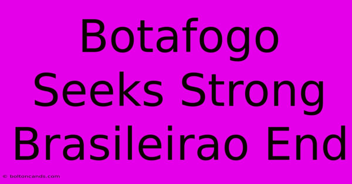 Botafogo Seeks Strong Brasileirao End