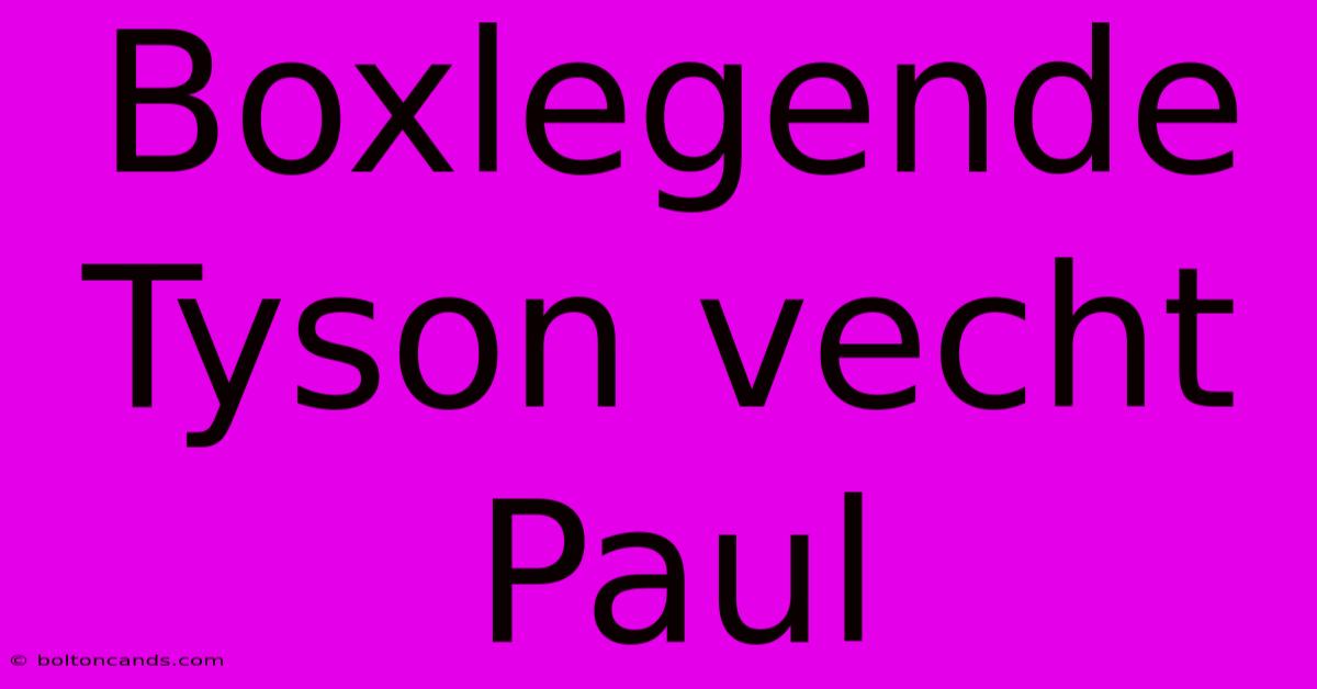 Boxlegende Tyson Vecht Paul 