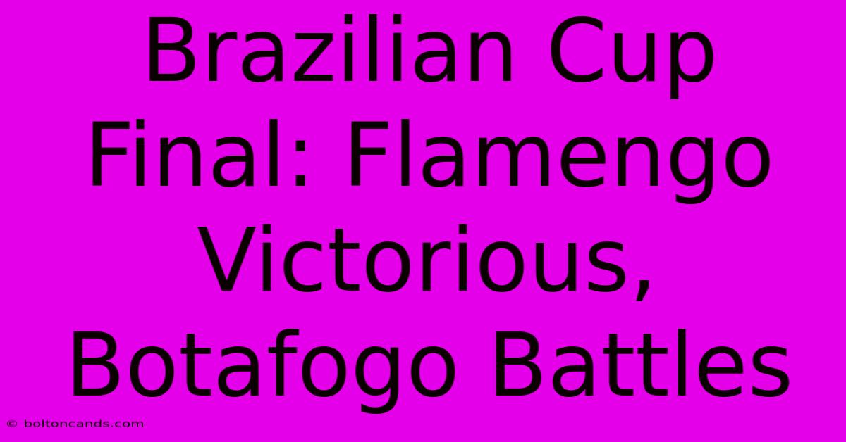 Brazilian Cup Final: Flamengo Victorious, Botafogo Battles 