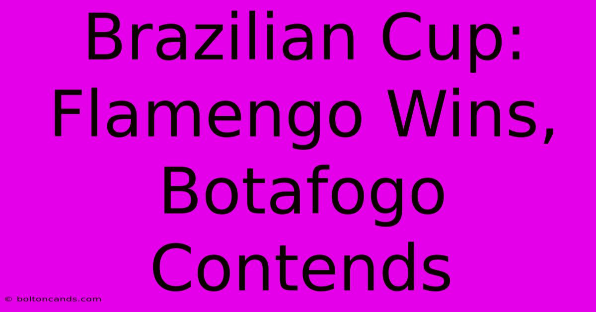 Brazilian Cup: Flamengo Wins, Botafogo Contends