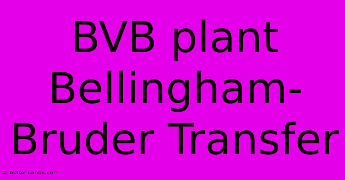 BVB Plant Bellingham-Bruder Transfer