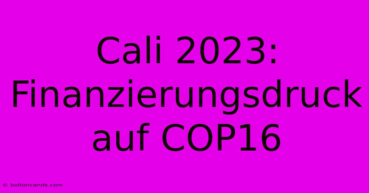 Cali 2023:  Finanzierungsdruck Auf COP16