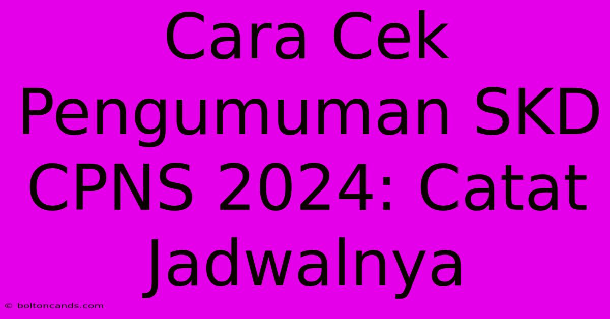 Cara Cek Pengumuman SKD CPNS 2024: Catat Jadwalnya