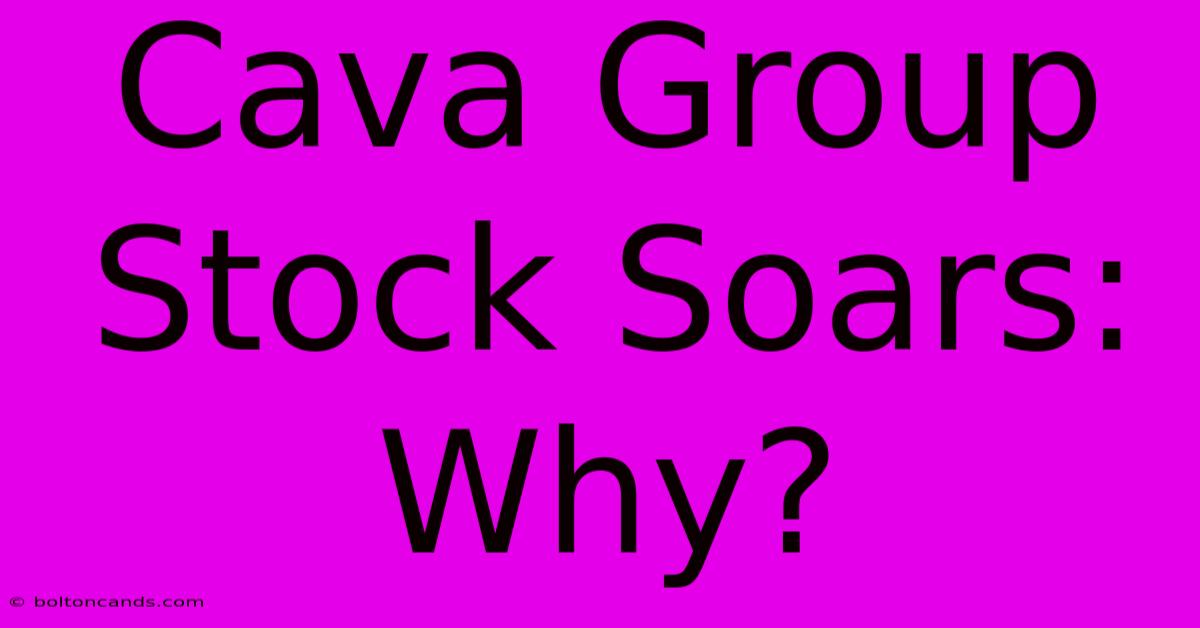 Cava Group Stock Soars: Why?