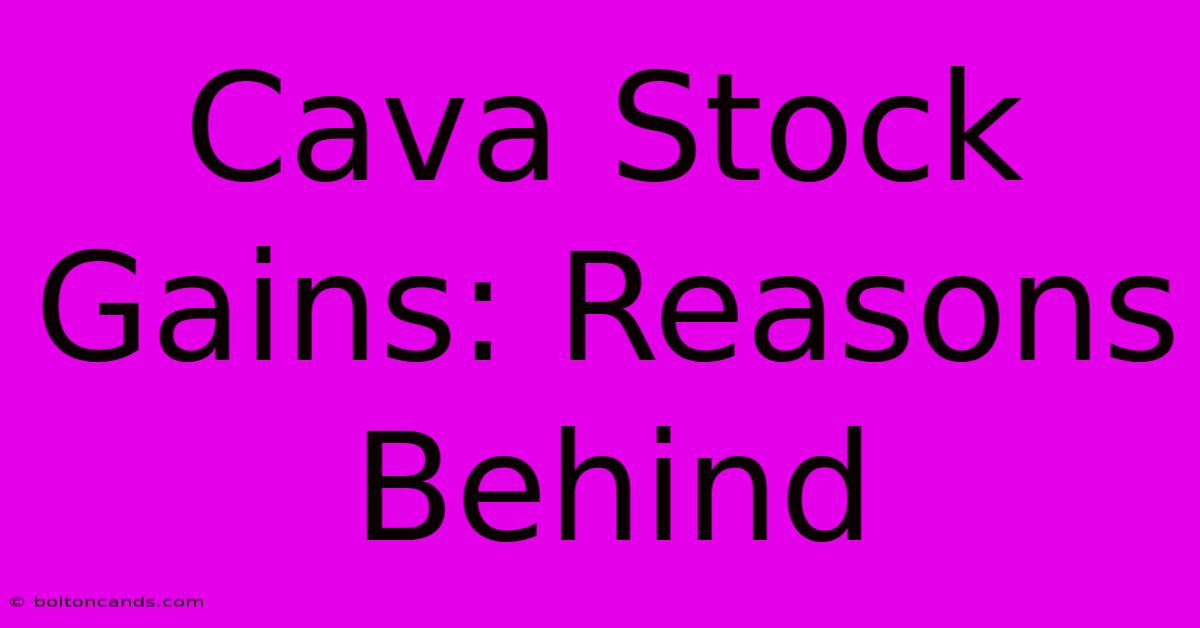 Cava Stock Gains: Reasons Behind  