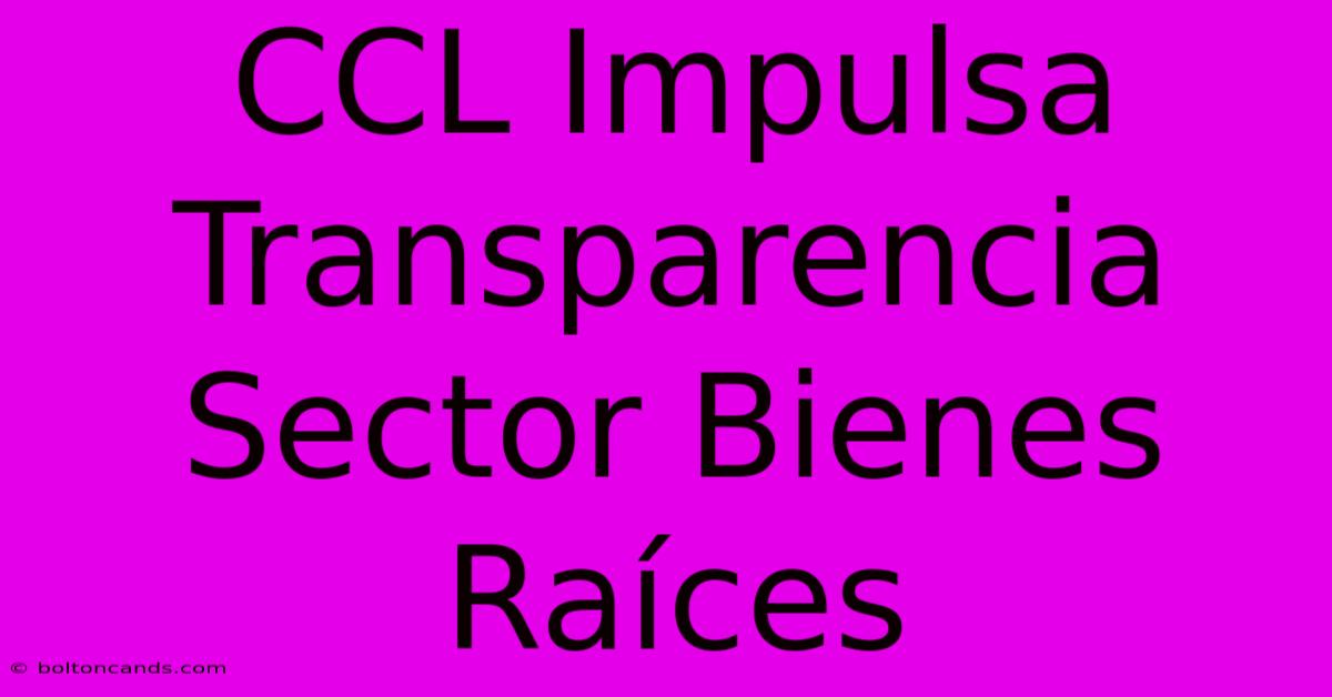 CCL Impulsa Transparencia Sector Bienes Raíces