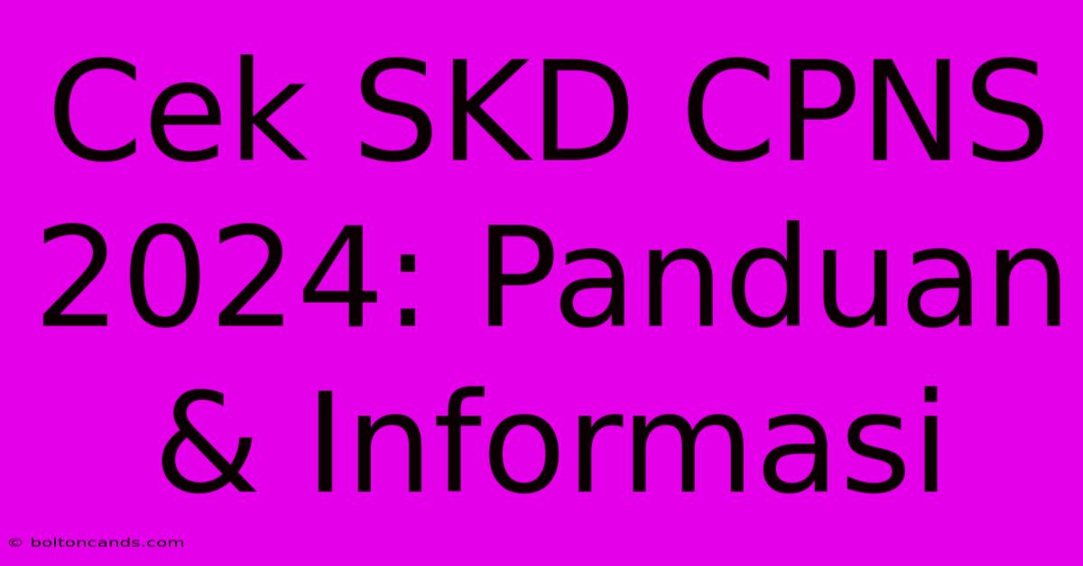 Cek SKD CPNS 2024: Panduan & Informasi