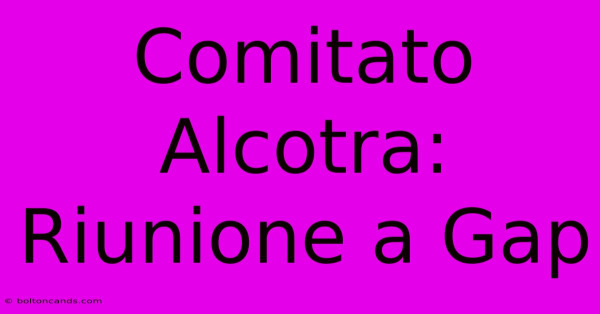 Comitato Alcotra: Riunione A Gap