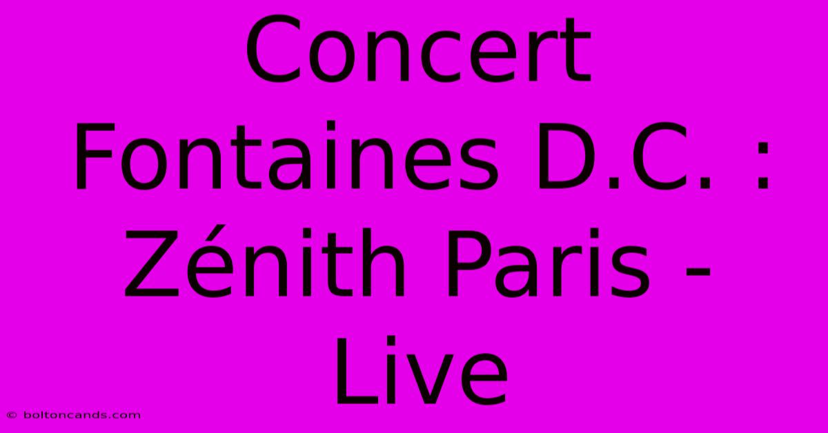 Concert Fontaines D.C. : Zénith Paris - Live