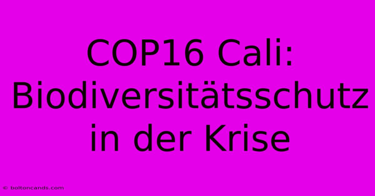 COP16 Cali:  Biodiversitätsschutz In Der Krise