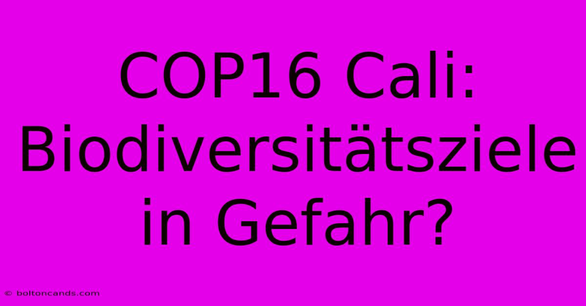 COP16 Cali: Biodiversitätsziele In Gefahr?