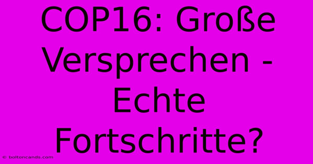 COP16: Große Versprechen - Echte Fortschritte?