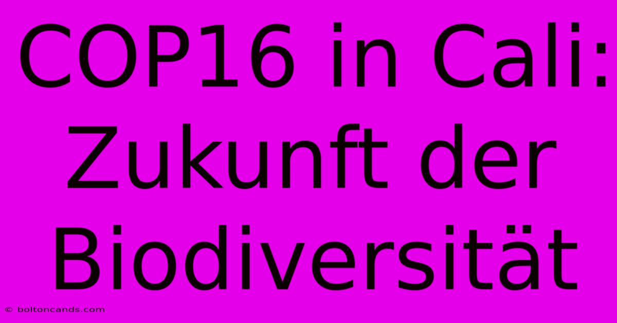 COP16 In Cali:  Zukunft Der Biodiversität 