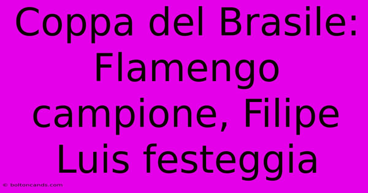 Coppa Del Brasile: Flamengo Campione, Filipe Luis Festeggia