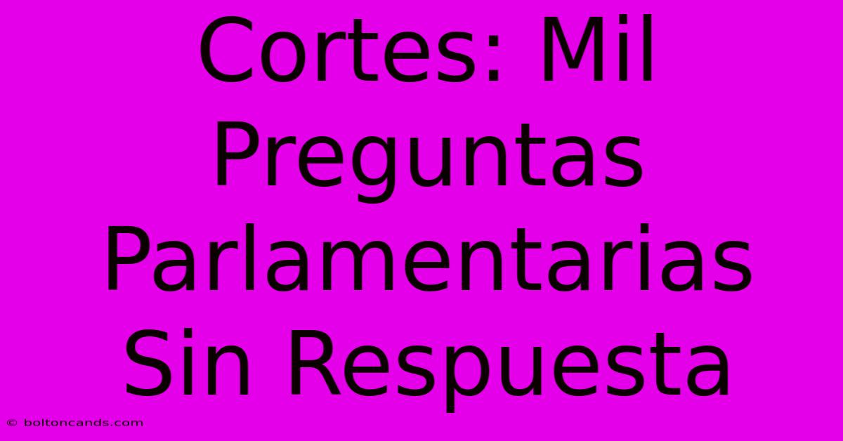 Cortes: Mil Preguntas Parlamentarias Sin Respuesta