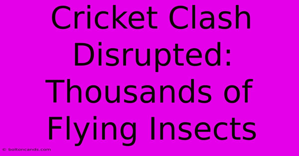 Cricket Clash Disrupted: Thousands Of Flying Insects